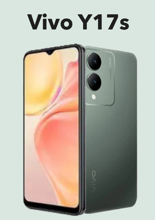 Vivo Y17s price in Pakistan